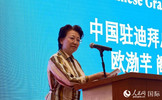 2024旅阿中国留学生春季招聘会举行(图1)