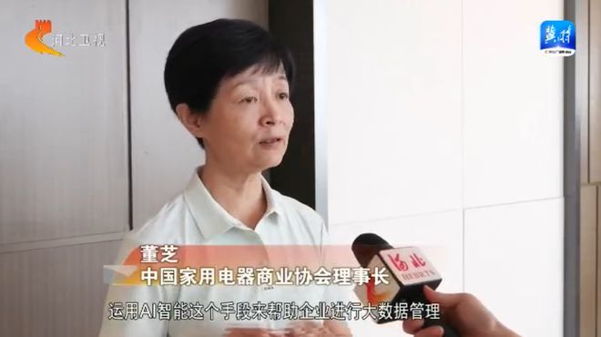 【2024国际经济贸易洽谈会】数智赋能商贸物流高质量发展(图7)