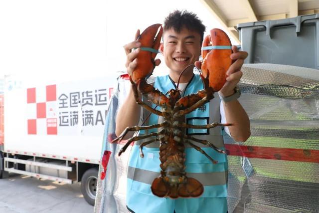 一张航线网丈量中国航空物流——鄂州花湖国际机场投运3周年(图5)