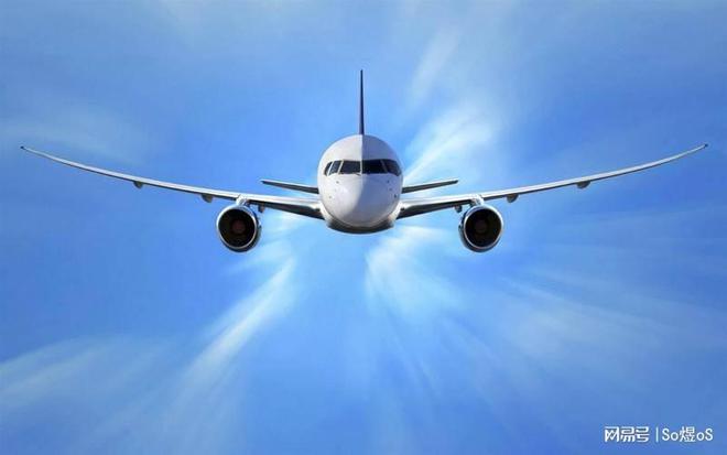 民航联盟：湖北首家本土国际货运航空公司成立(图1)