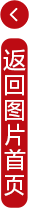 江西赣州：国际陆港进出口货运忙(图1)