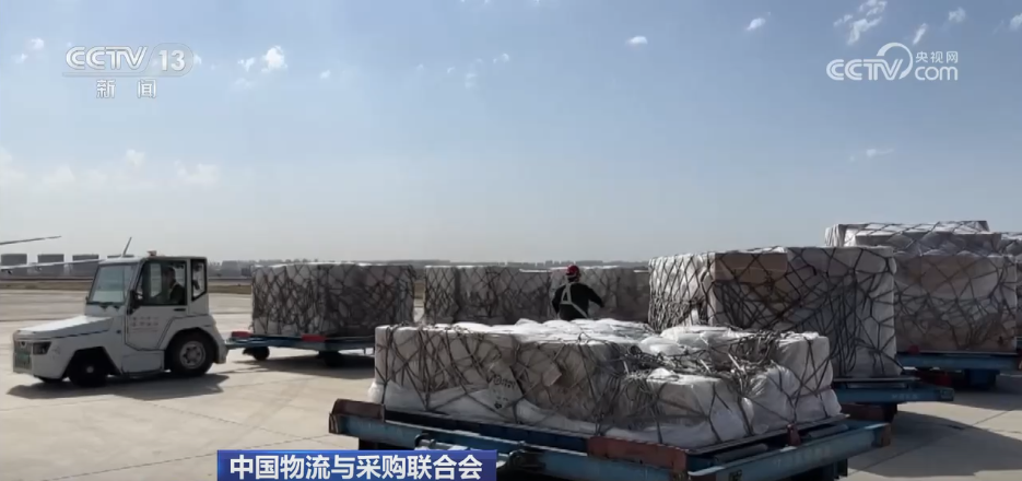 航空公路物流网络持续织密“货畅其流”见证经济蓬勃活力(图2)