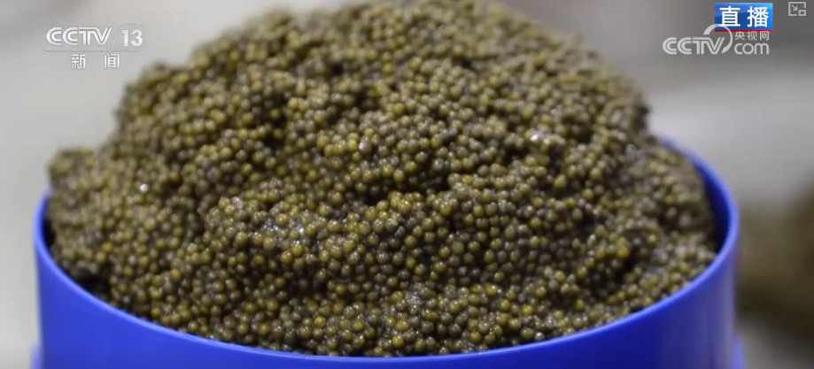 智慧口岸、空中货运圈联通经济新未来外贸一线新活力、新动能涌动(图20)