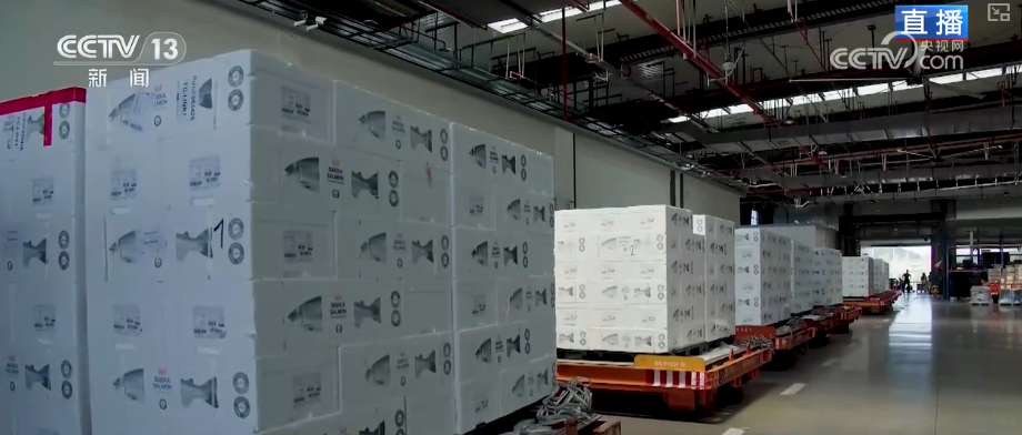 智慧口岸、空中货运圈联通经济新未来外贸一线新活力、新动能涌动(图19)