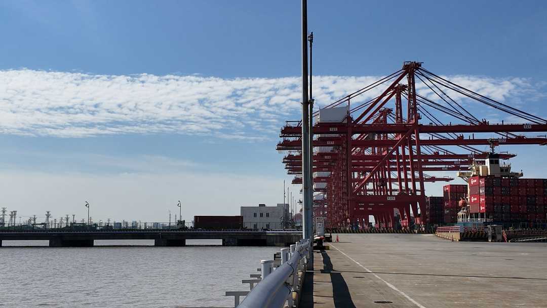 在外高桥看港通天下船行深海丨活力中国调研行(图2)