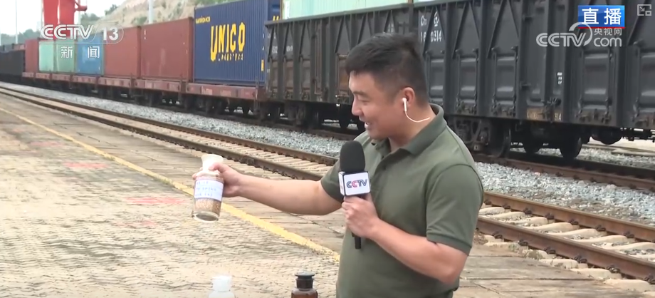 多视角解码中哈（连云港）物流合作基地陆海联动强枢纽激发外贸新动能(图5)