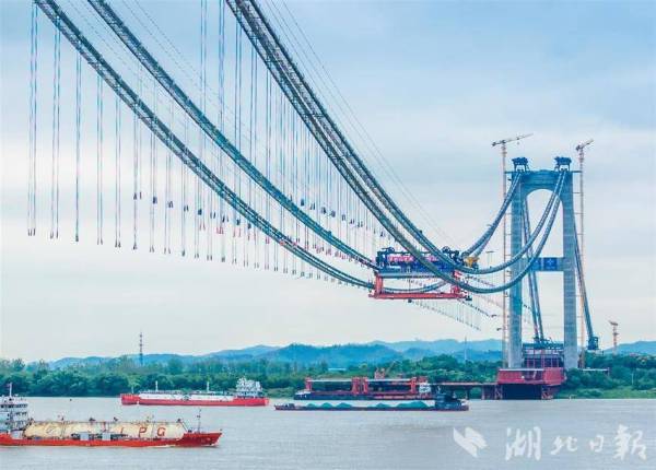 国际货邮吞吐量同比增长138%拉动全省外贸增长61%花湖国际机场让全球生鲜飞入万家(图4)