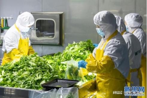 预制菜争议背后的物流变革(图3)
