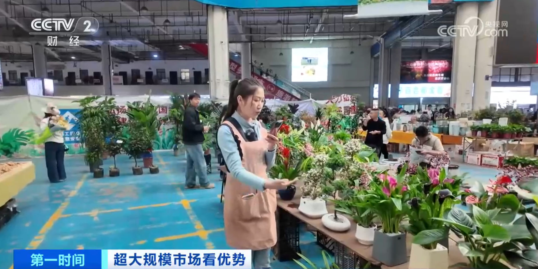 跟着鲜花“跑”物流！大市场如何“织”出大网络？(图4)