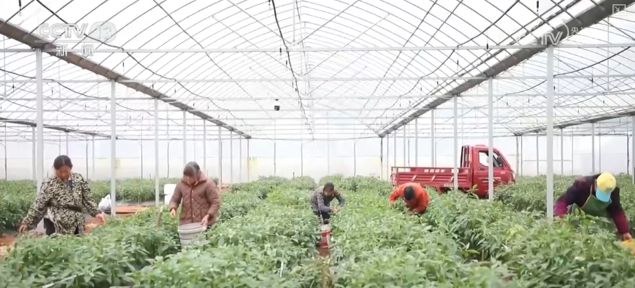 11月份大宗商品“成绩单”出炉利好叠加为实现全年经济增长目标提供稳支撑(图6)