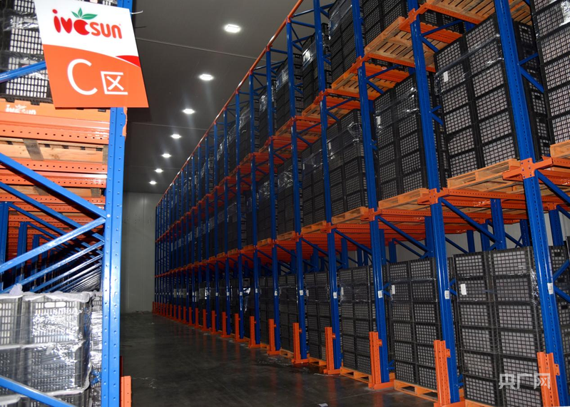 安徽砀山：冷链物流强产业水果“链”接国内外(图2)