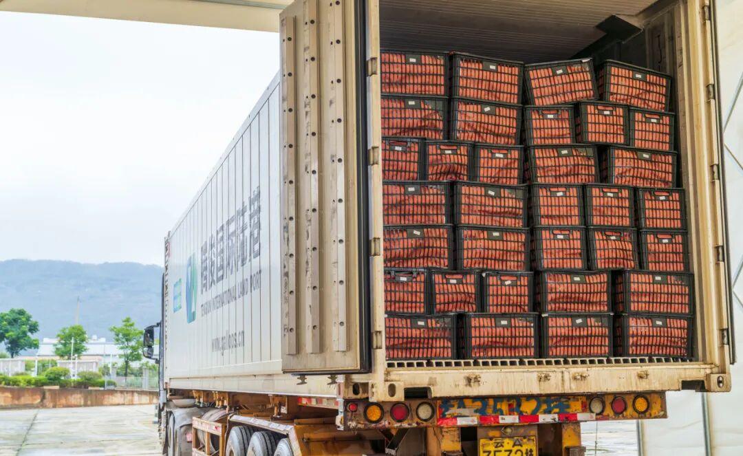 交通人的“十四五”从昆明出发到老挝到泰国到更多国家(图6)