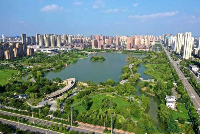 逍遥蒙城自在生长(图1)