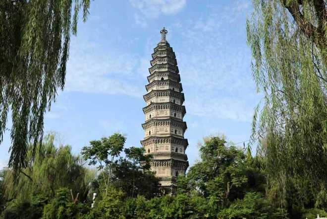 逍遥蒙城自在生长(图2)