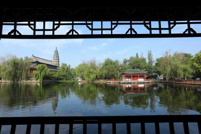 逍遥蒙城自在生长(图6)