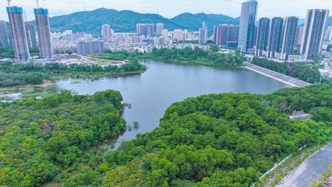 龙华【中建鹏宸云筑】加推10栋开盘89折!面积104㎡-119㎡(图10)