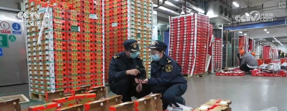 中国外贸提质增效利好积聚跨境贸易新措施“组合拳”助力跨境物流高效畅通(图5)