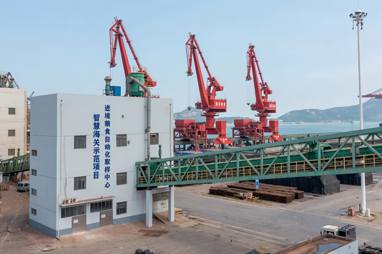 外贸五年“三级跳”连云港为什么能?(图2)