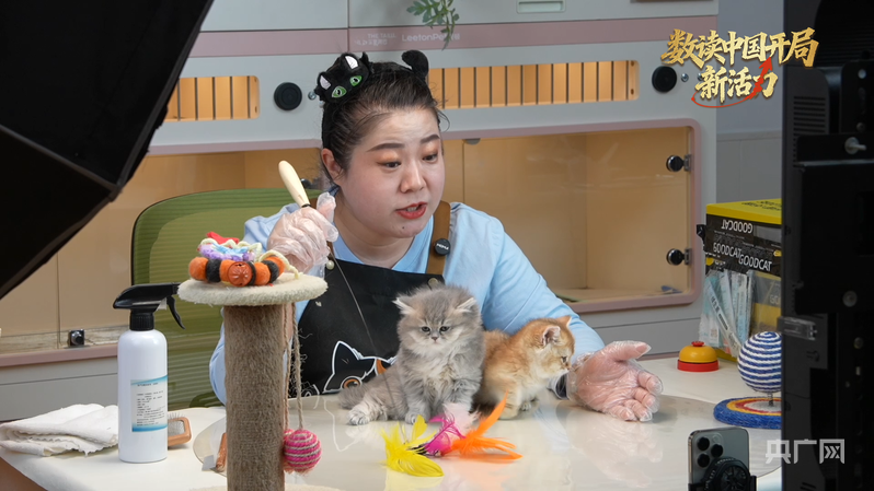 数读中国开局新活力丨“宠”出百亿级新赛道“它经济”全链升级(图1)