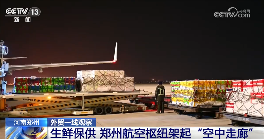 外贸一线观察｜依托多式联运织密物流网郑州推动“内陆节点”跃升为开放前沿(图2)