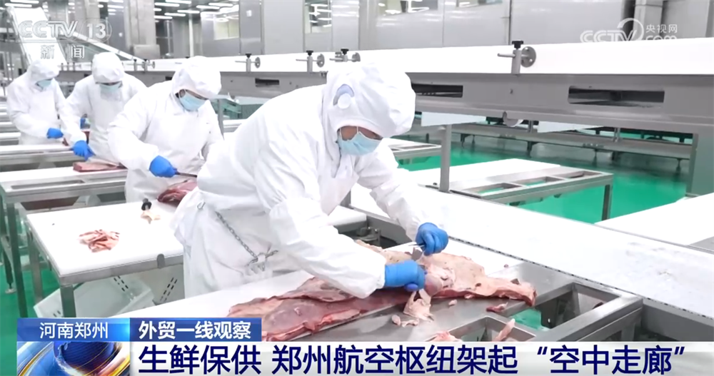 外贸一线观察｜依托多式联运织密物流网郑州推动“内陆节点”跃升为开放前沿(图4)