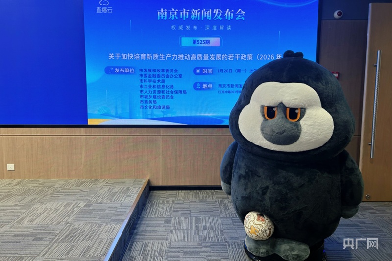 “十五五”先手棋！南京开年42招“摸高”这次要跳多高？(图3)