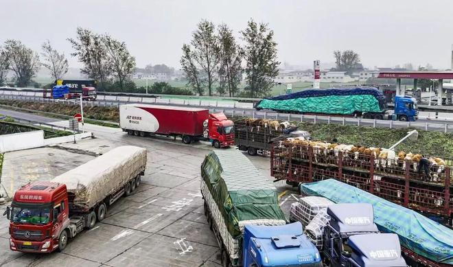 政策油价“破9”撞上史上最严治超!物流行业何去何从(图2)