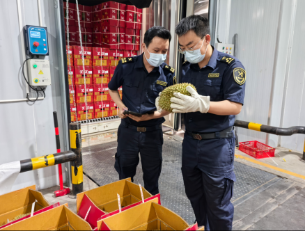 坐着动车去老挝：一千公里与无数张笑脸(图3)
